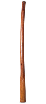 Gloss Finish Flared Didgeridoo (TW986)